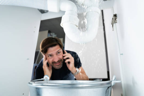 Best Plumbing Inspection Services  in Coaldale, PA